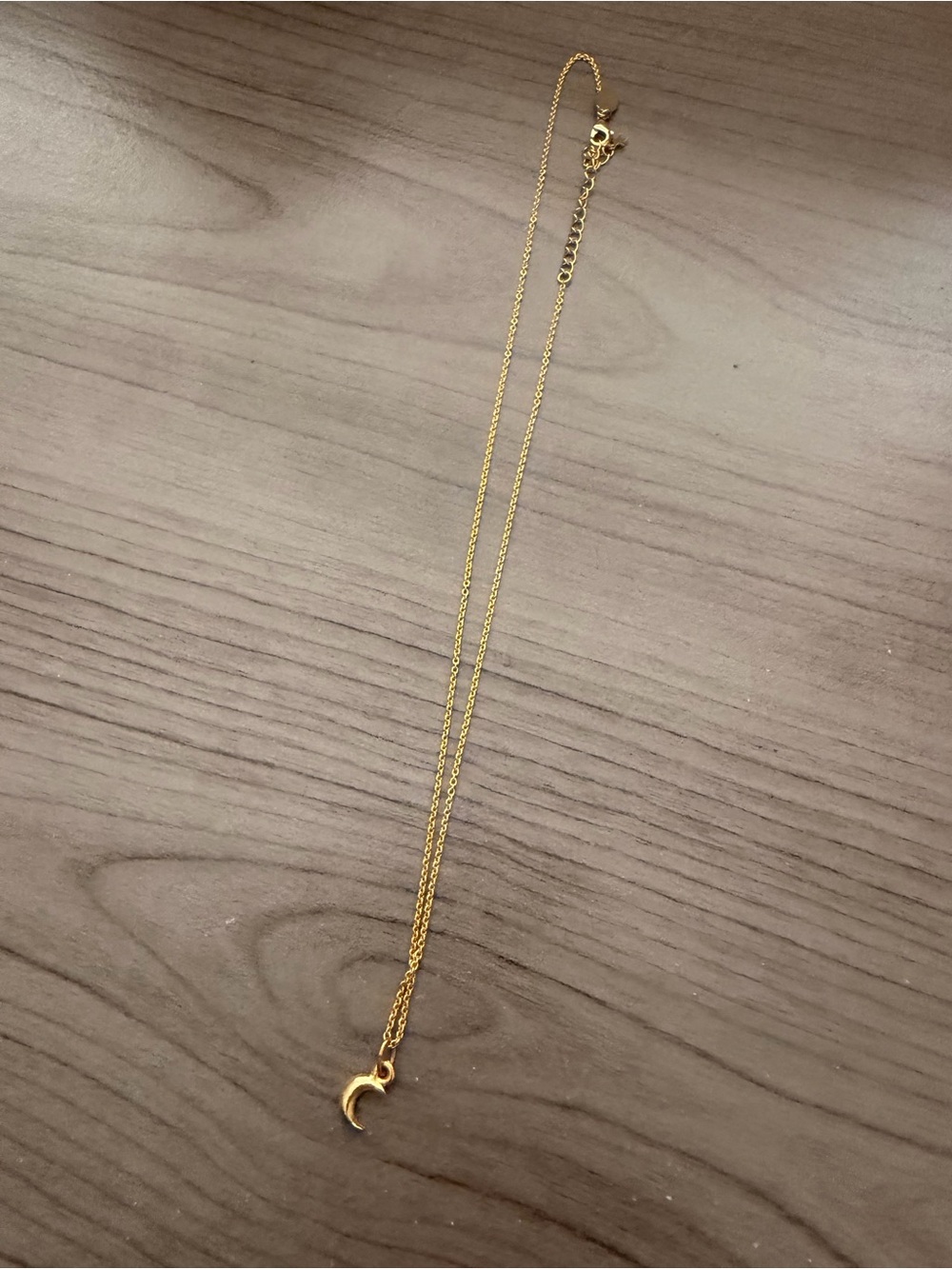 Crescent Moon Charm Necklace